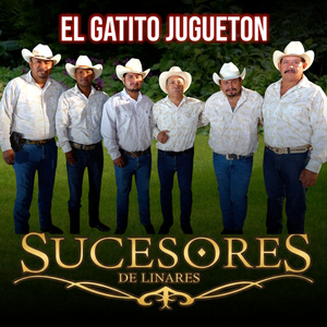 El Gatiti Jugueton