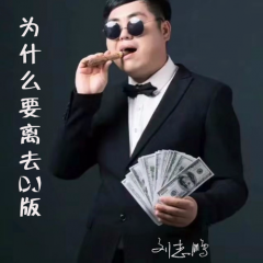 为什么要离去 (DJ版)