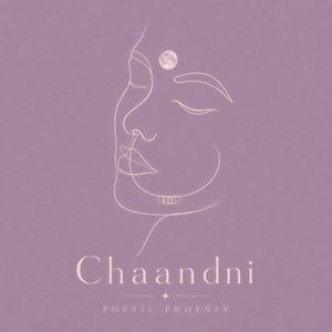 Chaandni (feat. Jai Dang)
