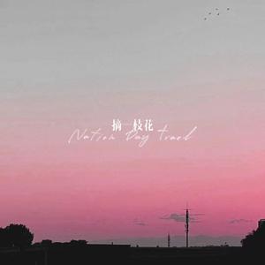 摘一枝花