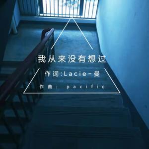 我从来没有想过