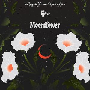 Moonflower