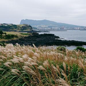 Below Hallasan