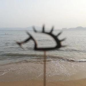 已是两条路上的人