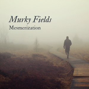 Murky Fields