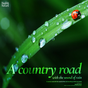 흙길을 흠뻑 적시는 비 The rain that soaks up the dirt road