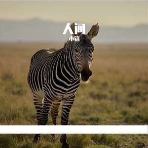 走在人间的旅途