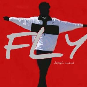 Fly