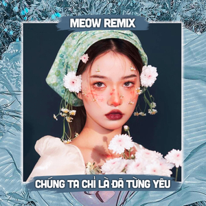 Chúng Ta Chỉ Là Đã Từng Yêu (Meow Remix)