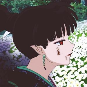 我不是奈落 但你还是来到了花海