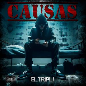 CAUSAS