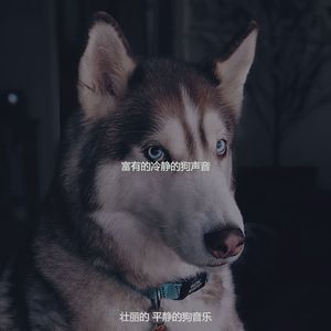 安静的小狗声音