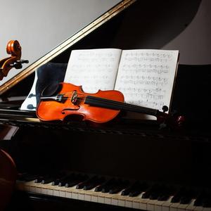 Flower Dance(钢琴小提琴合奏)