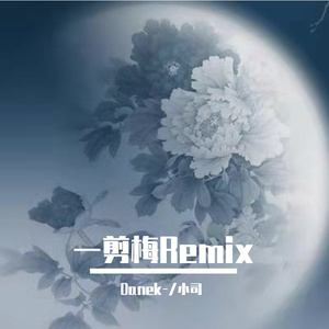 费玉清-一剪梅Remix（Danek- / 小司_01T remix）