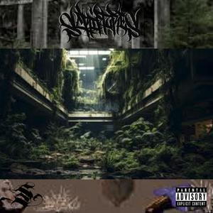 Concrete Forest (feat. Binks & Mc_draydl)