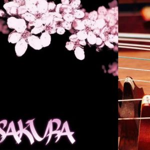 樱花（Remix古筝版）