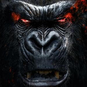 Đánh Thức Con Thú (Tập Luyện Gym Động Lực Fitness Nhạc Tập Năng Lượng Sức Mạnh)