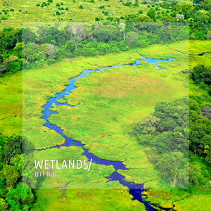 Wetlands