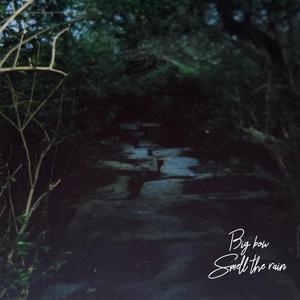 We on It (feat. Ciar)