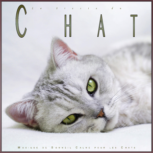 Musique de ronronnement de chat