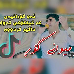 Sartip Salami mewani gorm