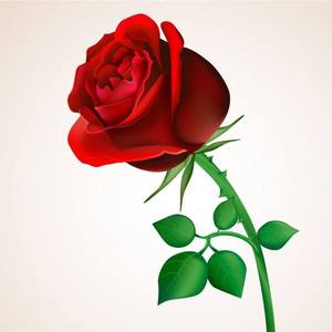 Believe in love（Prod.金桔0RANG3）