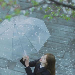 让樱花偷偷亲吻你的额头