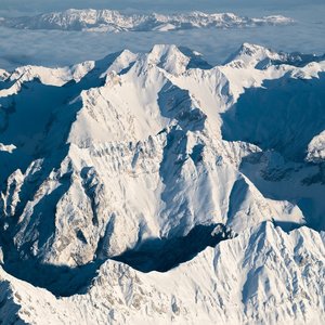 玫瑰驯服了小王子