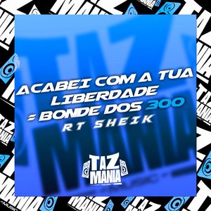 Acabei Com a Tua Liberdade Bonde dos 300