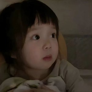 圆圆宝