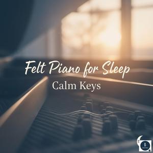 Felt Piano for Sleep