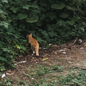 我做了一场不切实际的梦