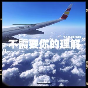 不需要你的理解