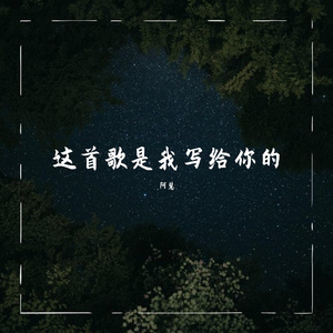 这首歌是我写给你的