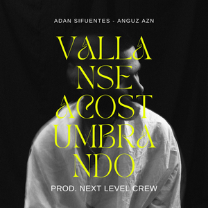 Vallanse Acostumbrando (feat. Anguz)