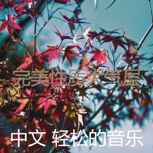 抚慰的周末回忆