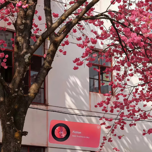 请你别走太快（最火释怀版）