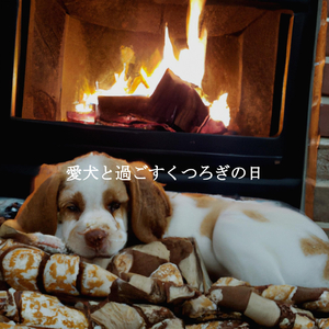 Laid-back Ambiance for My Moments