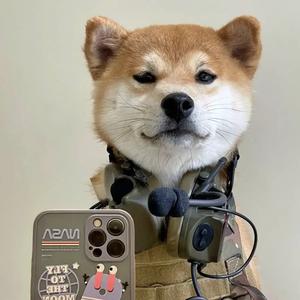 路过人间（抖音热播）