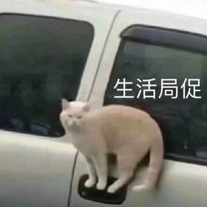 我的悲伤是水做的