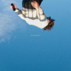 scapegoat