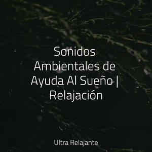 Amanecer De La Mañana