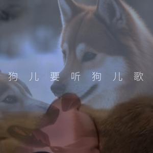 土坡上的狗尾草（小黄你过得还好吗）