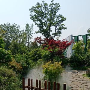予你温柔的时光