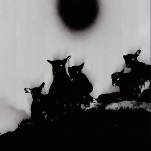 耍（prod.TrippieOwens）