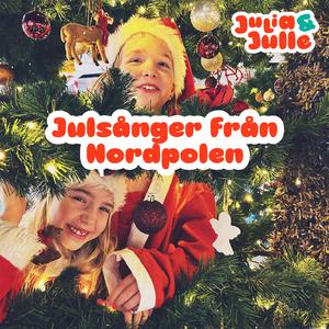 Tomtarnas julnatt (Tipp tapp)