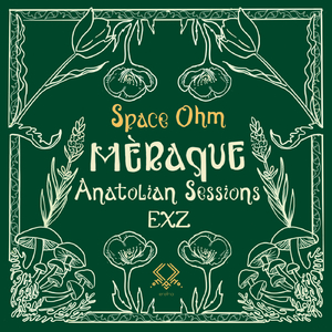 Space Ohm (Exz Remix)