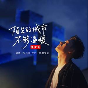 陌生的城市不够温暖