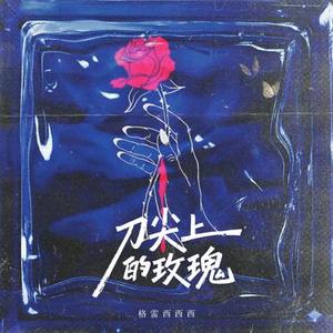 刀尖上的玫瑰 (DJ咚鼓版)