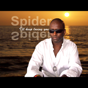 I'll Keep Loving You